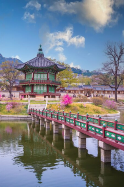 South Korea canva 1