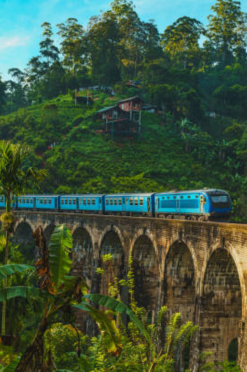 Sri Lanka canva 