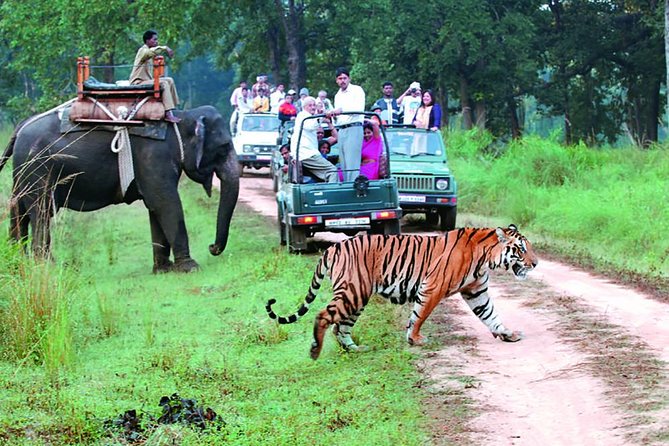 national park tour