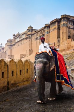 India Tour Packages | Book India Tour