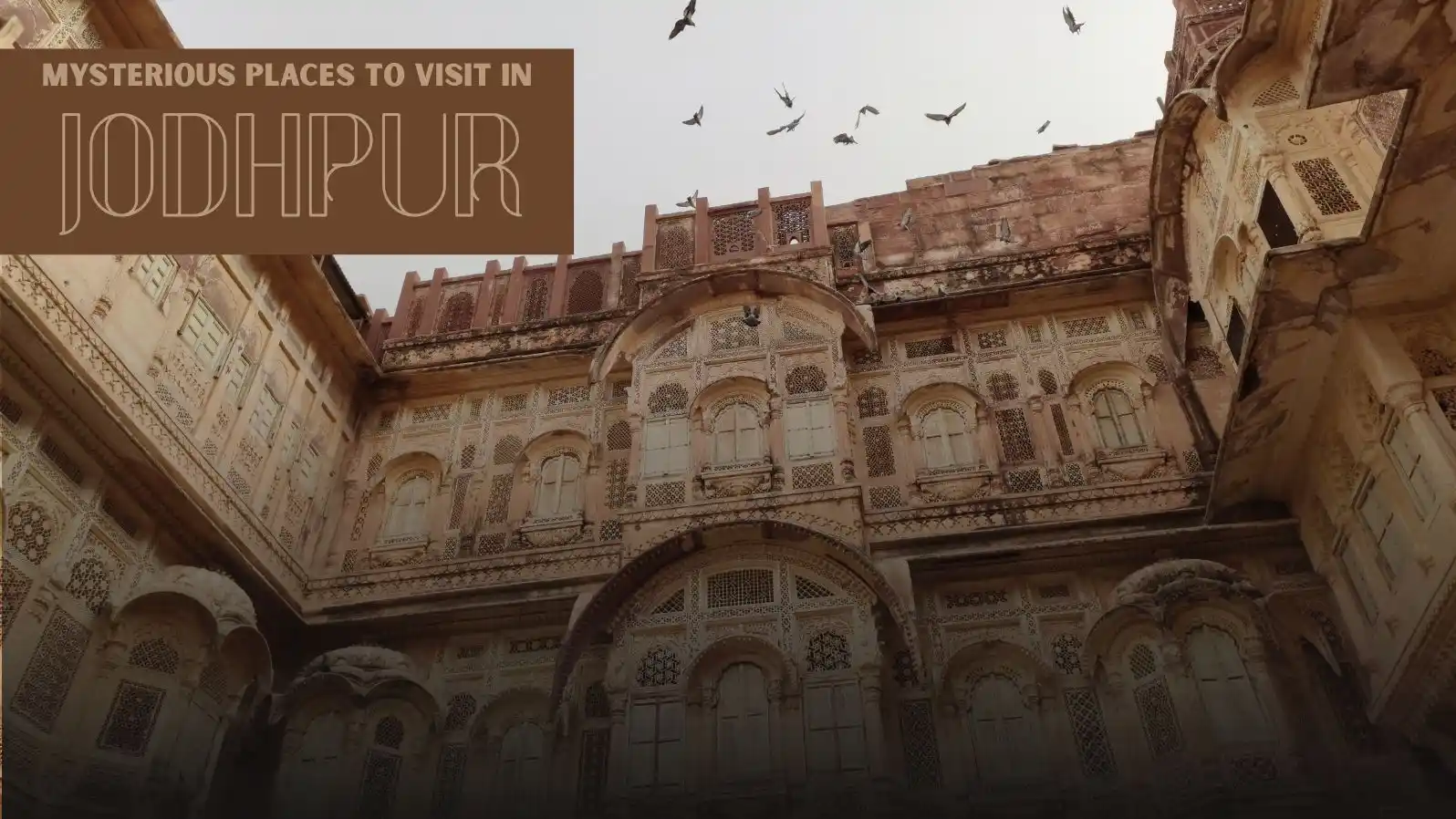 places to visit in jodhpur in 1 day,places to visit in jodhpur at night