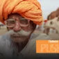 things to do in pushkar rajasthan