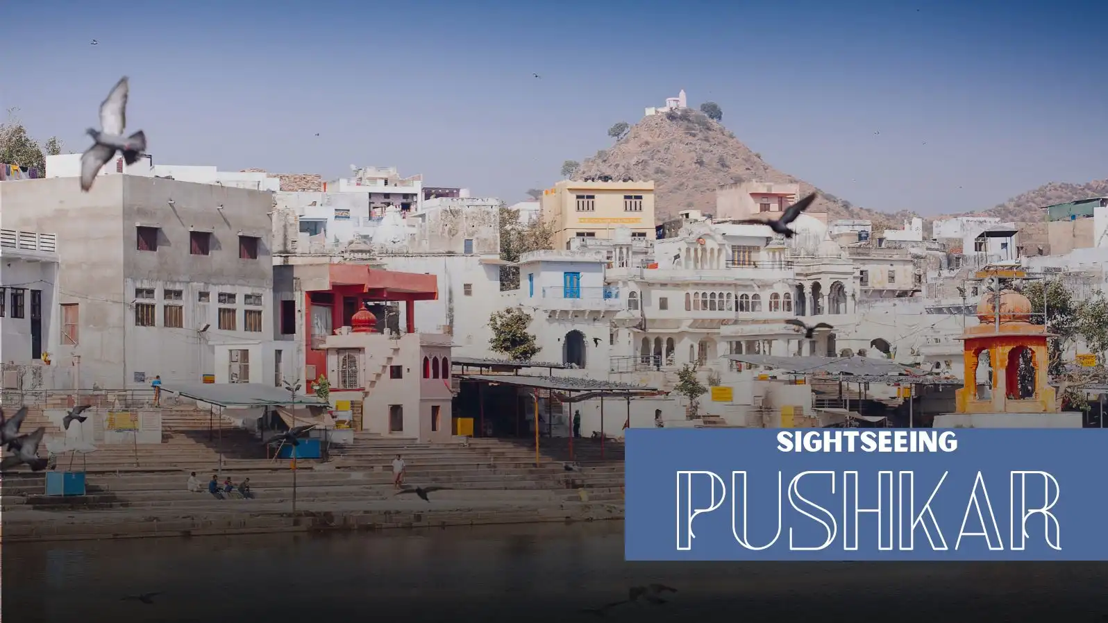 pushkar sightseeing places to visit,pushkar sightseeing places,pushkar sightseeing services